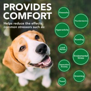 Vet's Best Comfort Calm Calming Soft Chews Dog Supplements | Dog Calming Aid Supports Dog Balances Behavior | Promotes Relaxation | 30 Day Supply