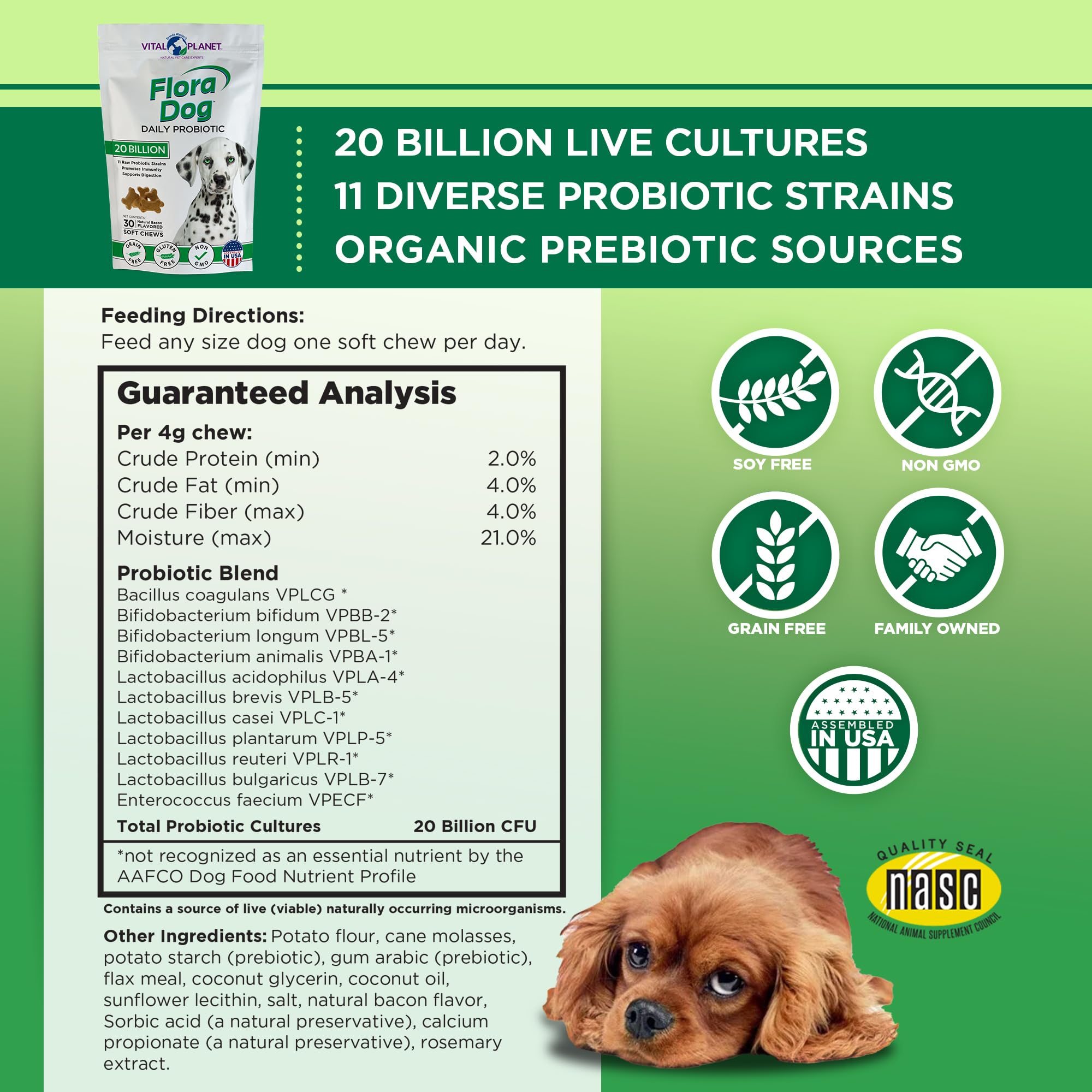 Vital Planet - Flora Dog Probiotics, Dog Chews Supplement with 20 Billion Cultures and 11 Strains, Immune and Digestive Support Chewable Probiotics for Dogs, 30 Natural Bacon Flavored Soft Chews