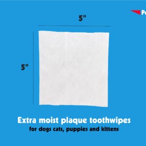 Petkin Cat and Dog Dental Wipes, 40 Wipes (Fresh Mint) - Natural Formula Cleans Teeth, Gums & Freshens Breath - for Daily Use - Convenient Dog Dental Care - 1 Pack of 40 Wipes