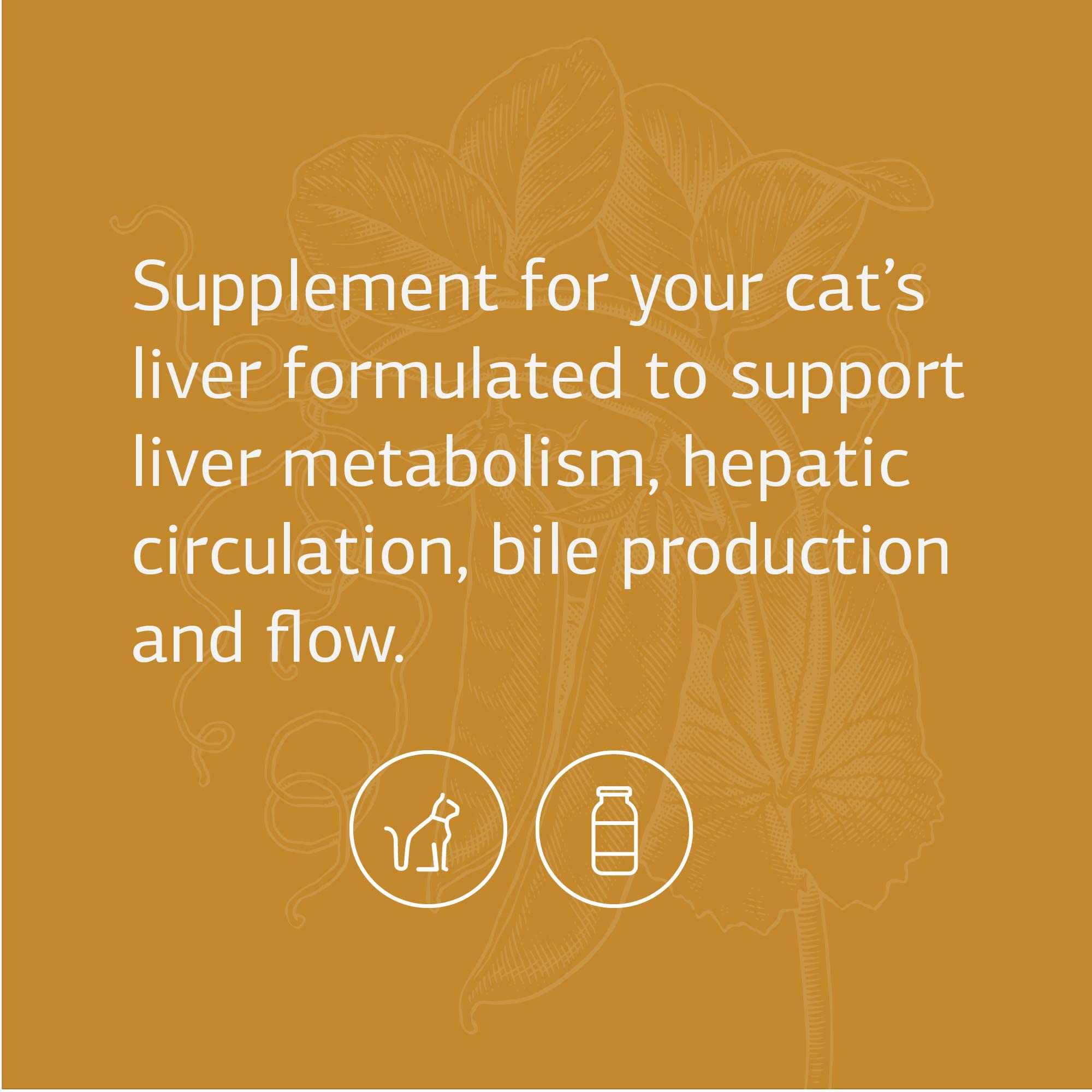 Standard Process Feline Hepatic Support - Cat Health Supplement for Liver Support - Hepatic Circulation & Liver Metabolism Aid - Tablet Supplement to Aid Hepatic Immune Function - 90 Tablets