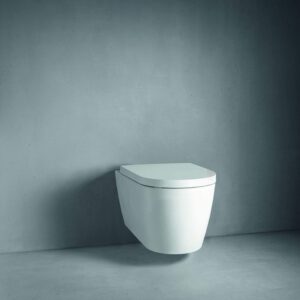 Duravit 2530090092 Bowls Toilets and Bidets, White