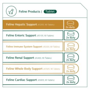 Standard Process Feline Hepatic Support - Cat Health Supplement for Liver Support - Hepatic Circulation & Liver Metabolism Aid - Tablet Supplement to Aid Hepatic Immune Function - 90 Tablets