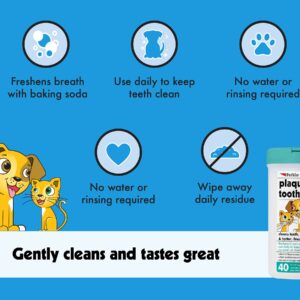 Petkin Cat and Dog Dental Wipes, 40 Wipes (Fresh Mint) - Natural Formula Cleans Teeth, Gums & Freshens Breath - for Daily Use - Convenient Dog Dental Care - 1 Pack of 40 Wipes