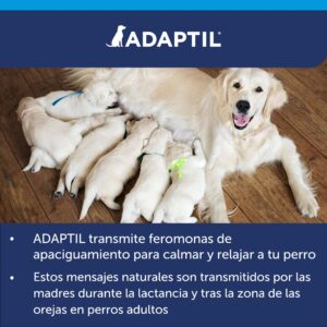 CEVA Animal Health Adaptil Diffuser + Refill 48Ml