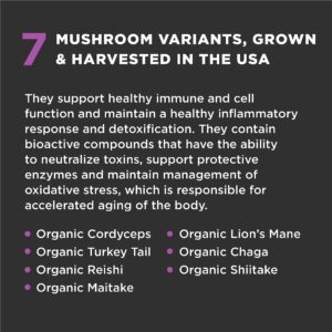 Super Snouts Super Shrooms Mushroom Immune Support Supplement for Dogs and Cats, 2.64 oz - Made in USA Organic Non-GMO, Immune Health for Strong Immunity, 7 Mushroom Blend Powder