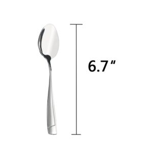 Cand 16 Pieces Stainless Steel Dessert Spoons, 6.69-Inch