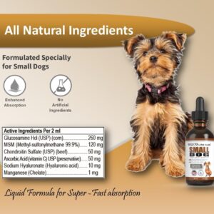 NODENS Small Dog Hip and Joint Liquid Glucosamine for Dogs with Chondroitin – Small Dog Joint Supplement for Natural Dog Pain Relief Anti-inflammatory for Improved Joint Flexibility and Mobility 59ml