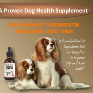 NODENS Small Dog Hip and Joint Liquid Glucosamine for Dogs with Chondroitin – Small Dog Joint Supplement for Natural Dog Pain Relief Anti-inflammatory for Improved Joint Flexibility and Mobility 59ml