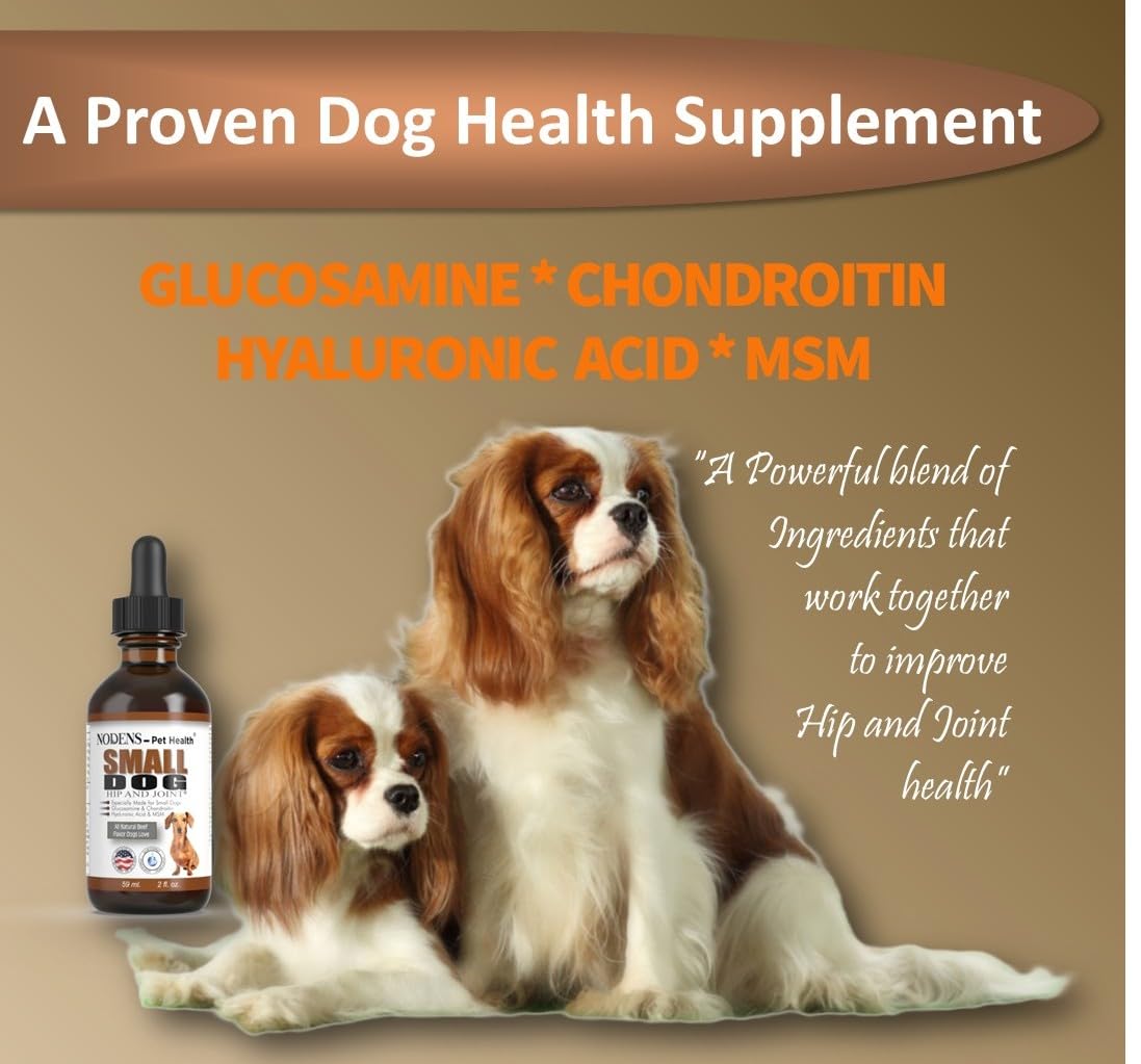 NODENS Small Dog Hip and Joint Liquid Glucosamine for Dogs with Chondroitin – Small Dog Joint Supplement for Natural Dog Pain Relief Anti-inflammatory for Improved Joint Flexibility and Mobility 59ml