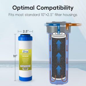 iSpring FG15 10"x2.5" Water Filter Replacement for Reverse Osmosis Water Filter System, GAC Granular Activated Carbon Filter Water Filter Cartridge Reduce PFAS