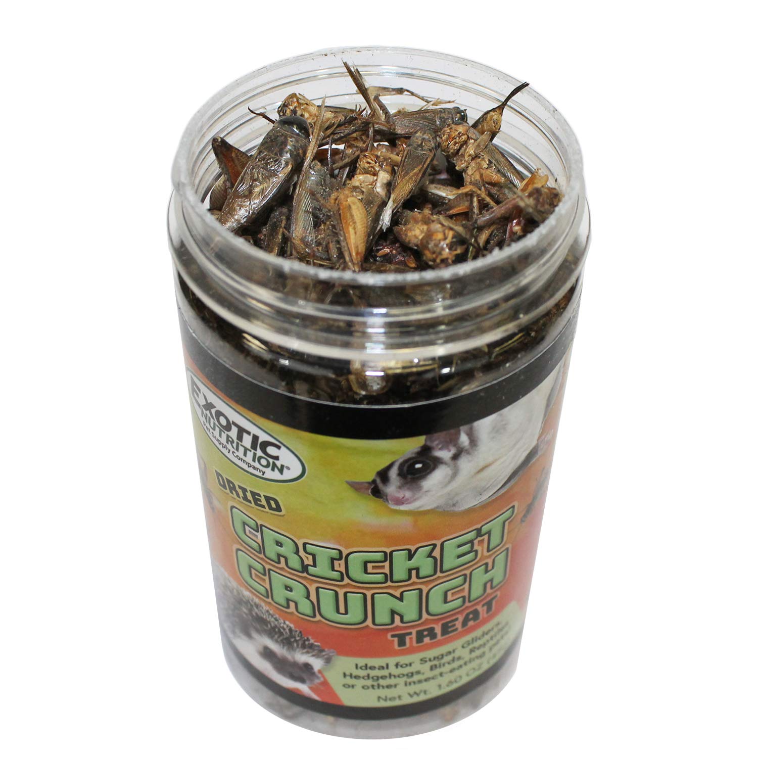 Cricket Crunch (1.6 oz) - All Natural Healthy High Protein Insect Treat - Chickens, Birds, Hedgehogs, Bluebirds, Reptiles, Sugar Gliders, Opossums, Skunks, Lizards, Fish, Turtles, Amphibians (1.6 oz.)