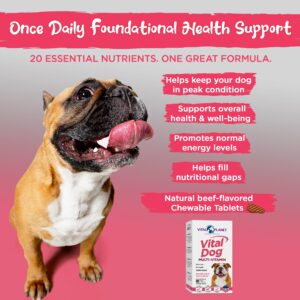 Vital Planet - Vital Dog Multi Vitamin Chewable Tablet Supplement for Everyday Health with Vitamins, Minerals and Antioxidants for Dogs - 30 Beef Flavored Chewable Tablets