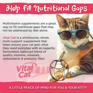 Vital Planet - Vital Cat Multi Vitamin Mineral and Antioxidant Powder for Cats 75 gram 30 Servings