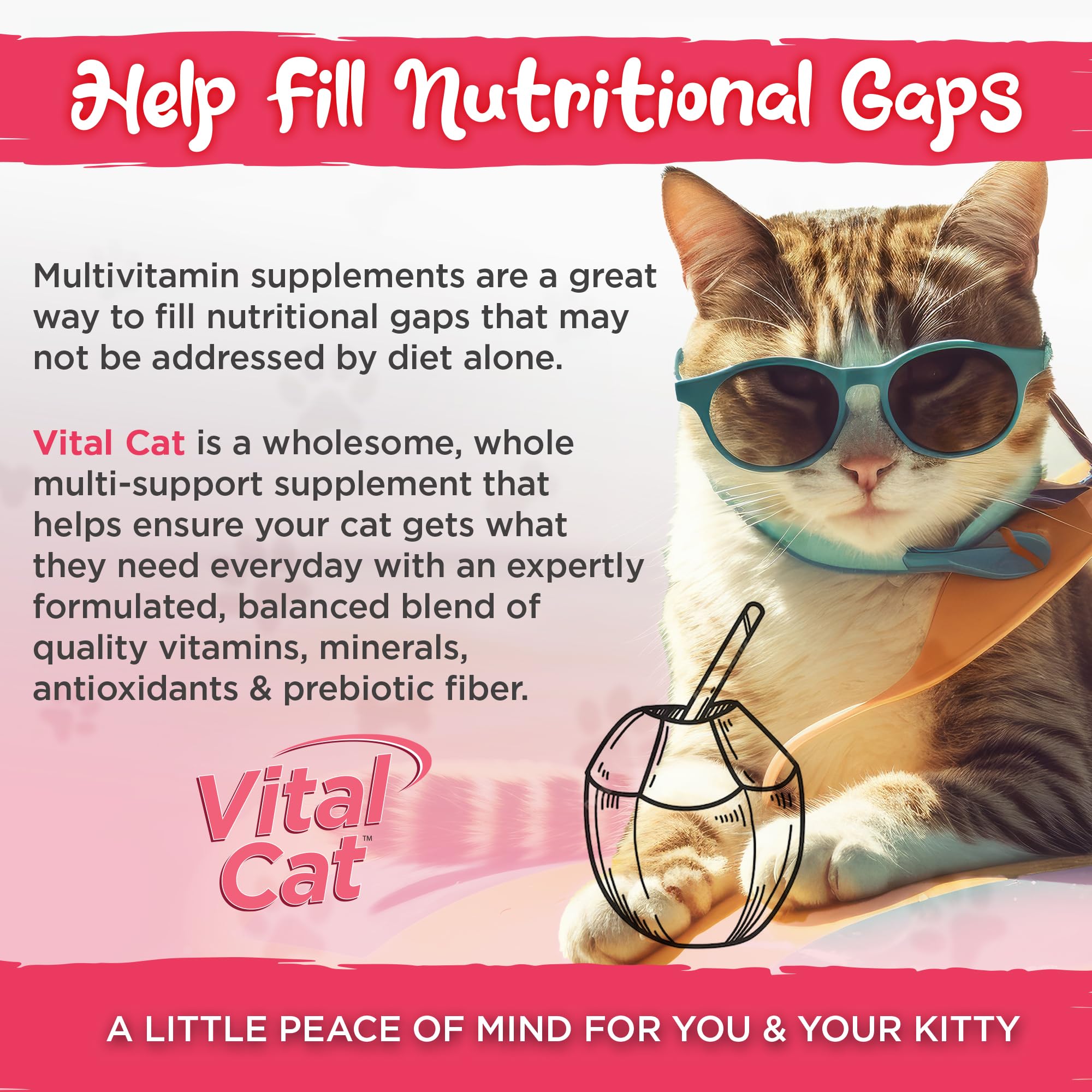 Vital Planet - Vital Cat Multi Vitamin Mineral and Antioxidant Powder for Cats 75 gram 30 Servings