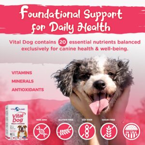 Vital Planet - Vital Dog Multi Vitamin Chewable Tablet Supplement for Everyday Health with Vitamins, Minerals and Antioxidants for Dogs - 30 Beef Flavored Chewable Tablets