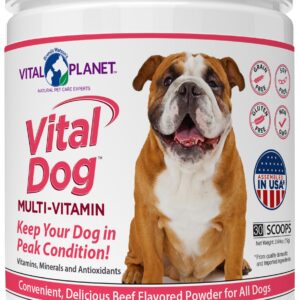 Vital Planet - Vital Dog Multi Vitamin Powder Supplement for Everyday Health with Vitamins, Minerals and Antioxidants for Dogs - Beef Flavored Powder, 30 Servings, 75 Grams