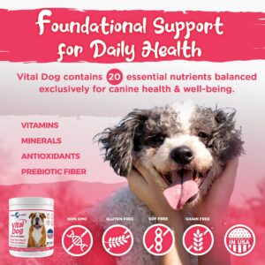 Vital Planet - Vital Dog Multi Vitamin Powder Supplement for Everyday Health with Vitamins, Minerals and Antioxidants for Dogs - Beef Flavored Powder, 30 Servings, 75 Grams