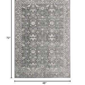 SAFAVIEH Evoke Collection 4' x 6' Grey/Ivory EVK270S Shabby Chic Distressed Non-Shedding Living Room Bedroom Accent Rug