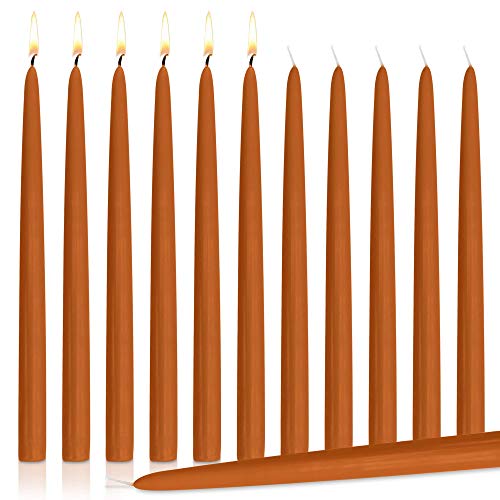 Orange Dripless Taper Candles 10" Inch Tall Wedding Dinner Candle Set of 12 (Pumpkin)