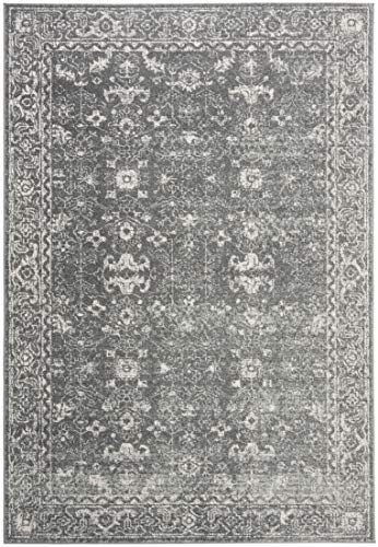 SAFAVIEH Evoke Collection 4' x 6' Grey/Ivory EVK270S Shabby Chic Distressed Non-Shedding Living Room Bedroom Accent Rug