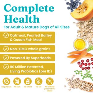 Solid Gold Dry Dog Food for Adult & Senior Dogs - Made with Oatmeal, Pearled Barley, and Fish Meal - Holistique Blendz Potato Free High Fiber Dog Food for Sensitive Stomach & Immune Support - 4 LB