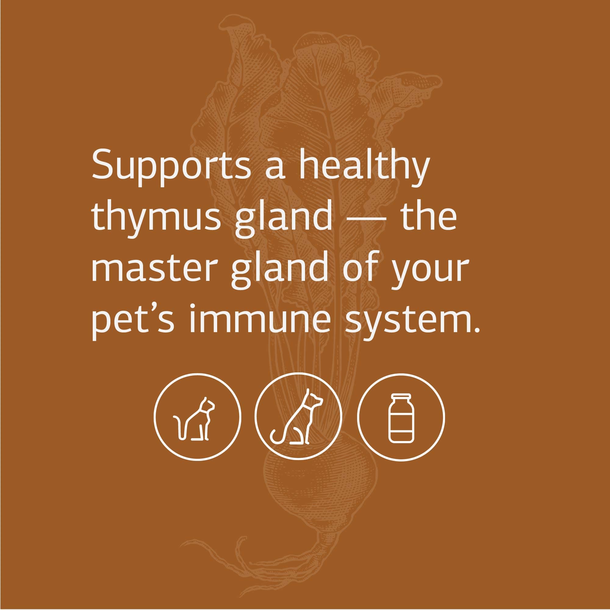 Standard Process VF Thymex for Pets - Cat & Dog Immune System Support Supplement - Thymus Supplement to Aid Canine & Feline Immune Health - Supplement with Vitamin C - 90 Tablets