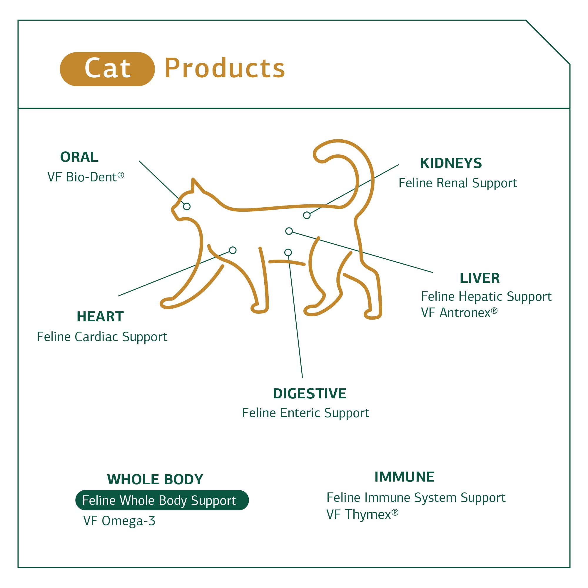 Standard Process VF Thymex for Pets - Cat & Dog Immune System Support Supplement - Thymus Supplement to Aid Canine & Feline Immune Health - Supplement with Vitamin C - 90 Tablets