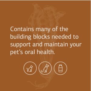 Standard Process VF Bio-Dent for Pets - Bone Growth & Healthy Tissue Support Pet Supplement - Overall Mouth Health Support Supplement - Nutritional Supplement for Cats & Dogs - 90 Tablets