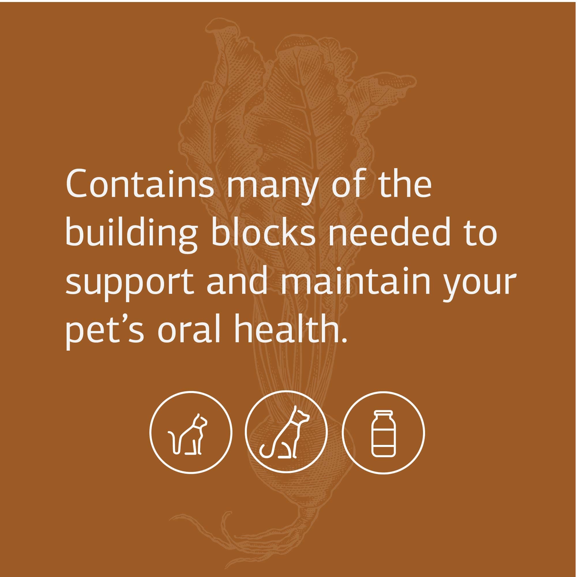 Standard Process VF Bio-Dent for Pets - Bone Growth & Healthy Tissue Support Pet Supplement - Overall Mouth Health Support Supplement - Nutritional Supplement for Cats & Dogs - 90 Tablets