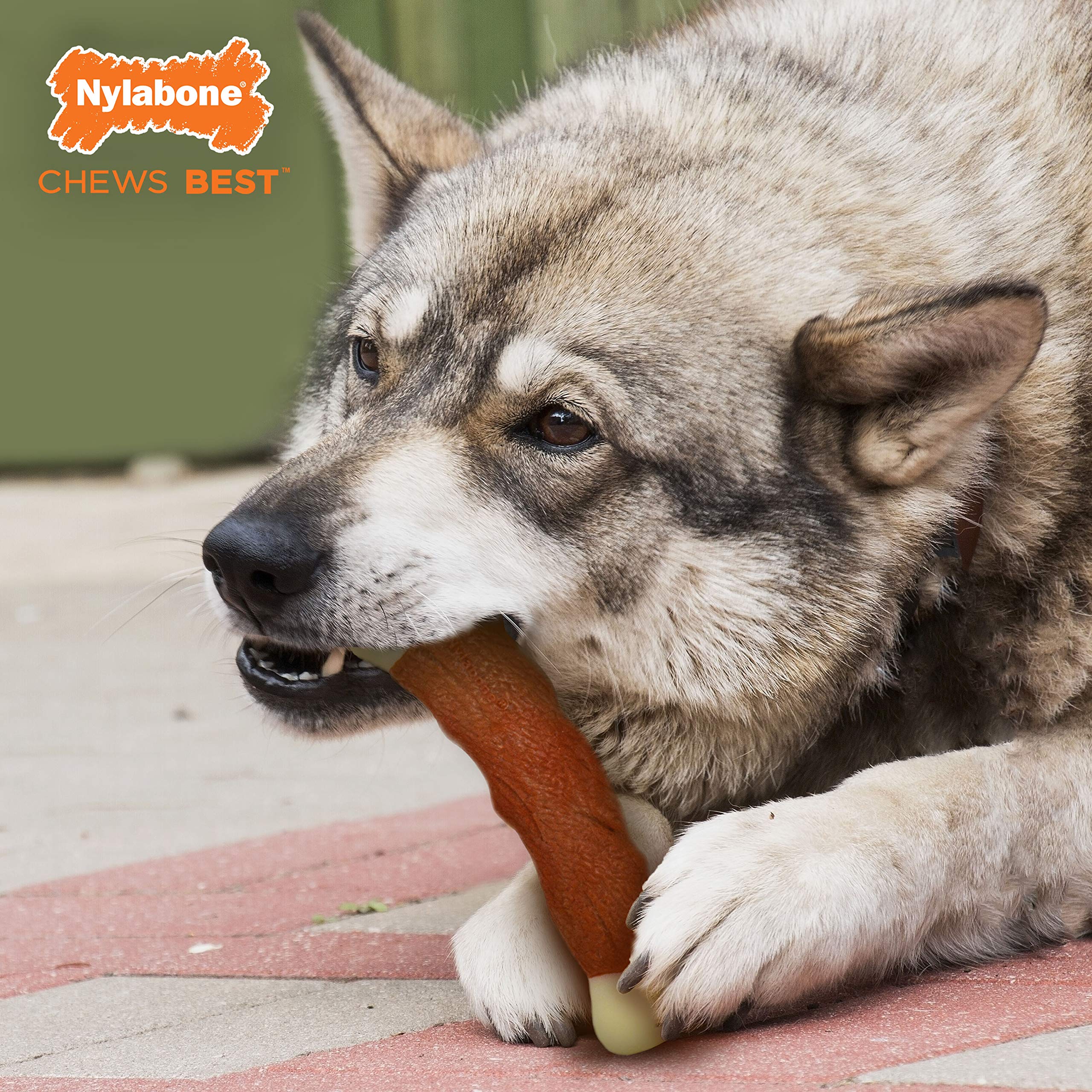 Nylabone Power Chew Marrow Bone Alternative Nylon Chew Toy for Dogs, Dog Toys for Aggressive Chewers, Beef Flavor, Large/Giant (1 Count)