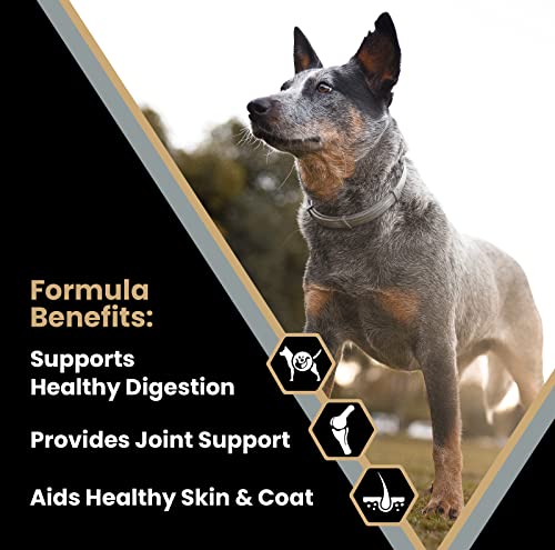 Victor Super Premium Dog Food – Purpose - Senior Healthy Weight – Gluten Free Weight Management Dry Dog Food for Senior Dogs with Glucosamine and Chondroitin, for Hip and Joint Health, 15lbs