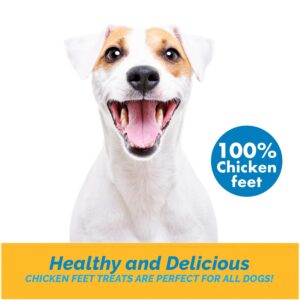 123 Treats Chicken Feet Dog Treats – 100% Natural Baked Chicken Feet for Dogs, Single Ingredient Chew Snacks, Support Joint & Dental Health | Excellent Source of Chondroitin (7 Ounces)