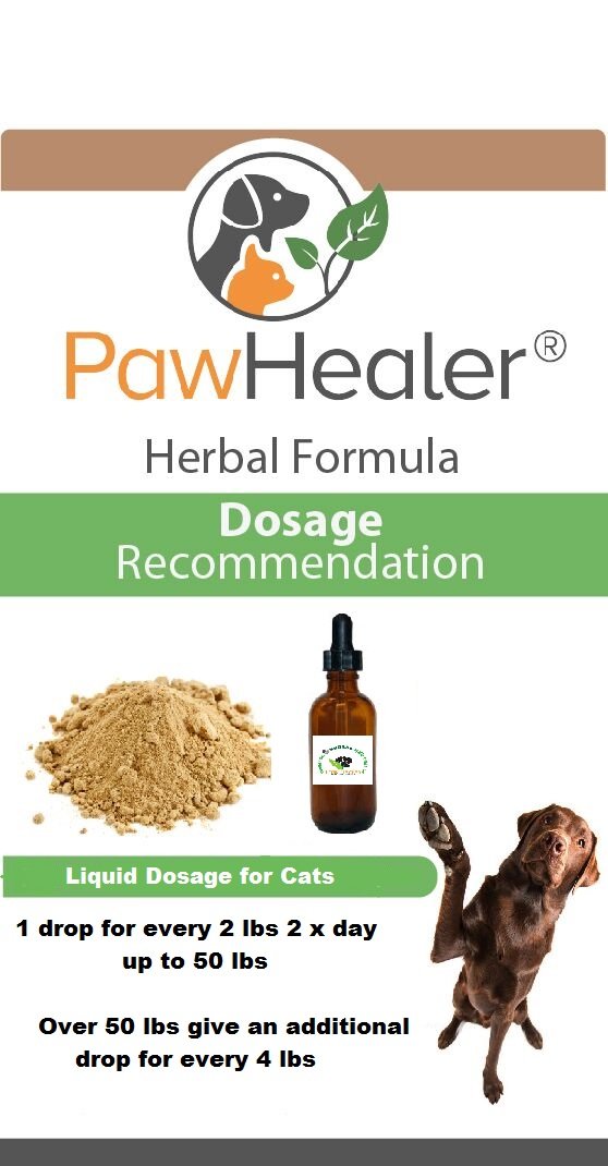 PawHealer Bladder UTI - Bladder Support for Damp Heat - Liquid Herbs for Cats - Buy More Save More (1 Bottle)