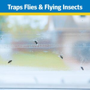 Raid Window Fly Trap, 4 Count (Pack of 3)