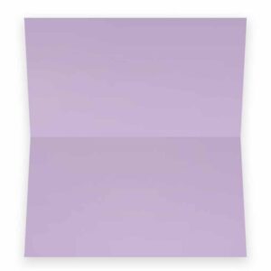 Lavender Place Cards - Flat or Tent Style - 10 or 50 Pack- White Front with Solid Color Border Placement Table Name Seating Stationery Party Supplies (10, Tent Style)