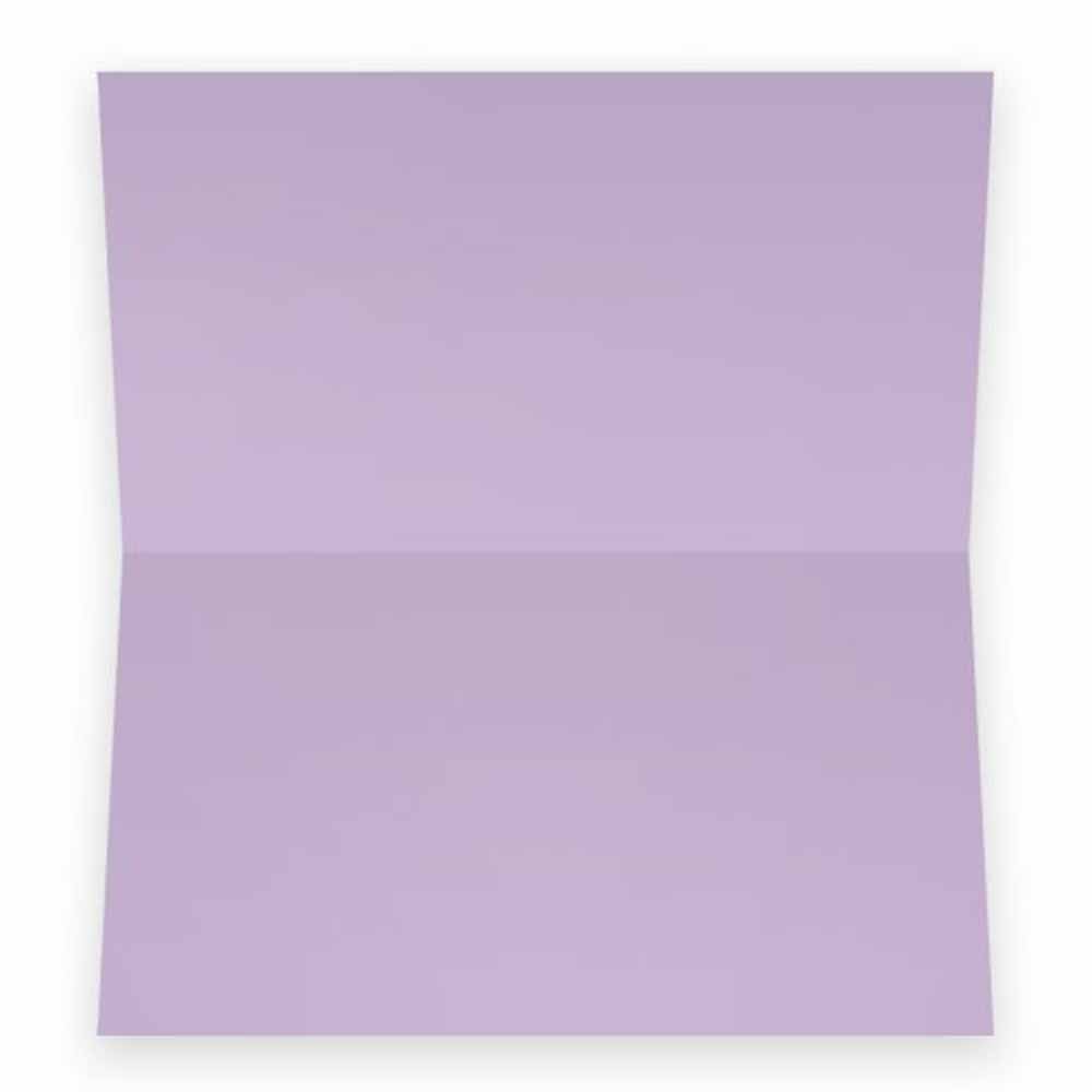 Lavender Place Cards - Flat or Tent Style - 10 or 50 Pack- White Front with Solid Color Border Placement Table Name Seating Stationery Party Supplies (10, Tent Style)