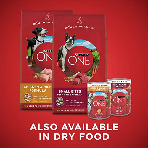 Purina ONE Tender Cuts in Gravy Chicken and Brown Rice, and Beef and Barley Entrees Wet Dog Food Variety Pack - (2 Packs of 6) 13 oz. Cans