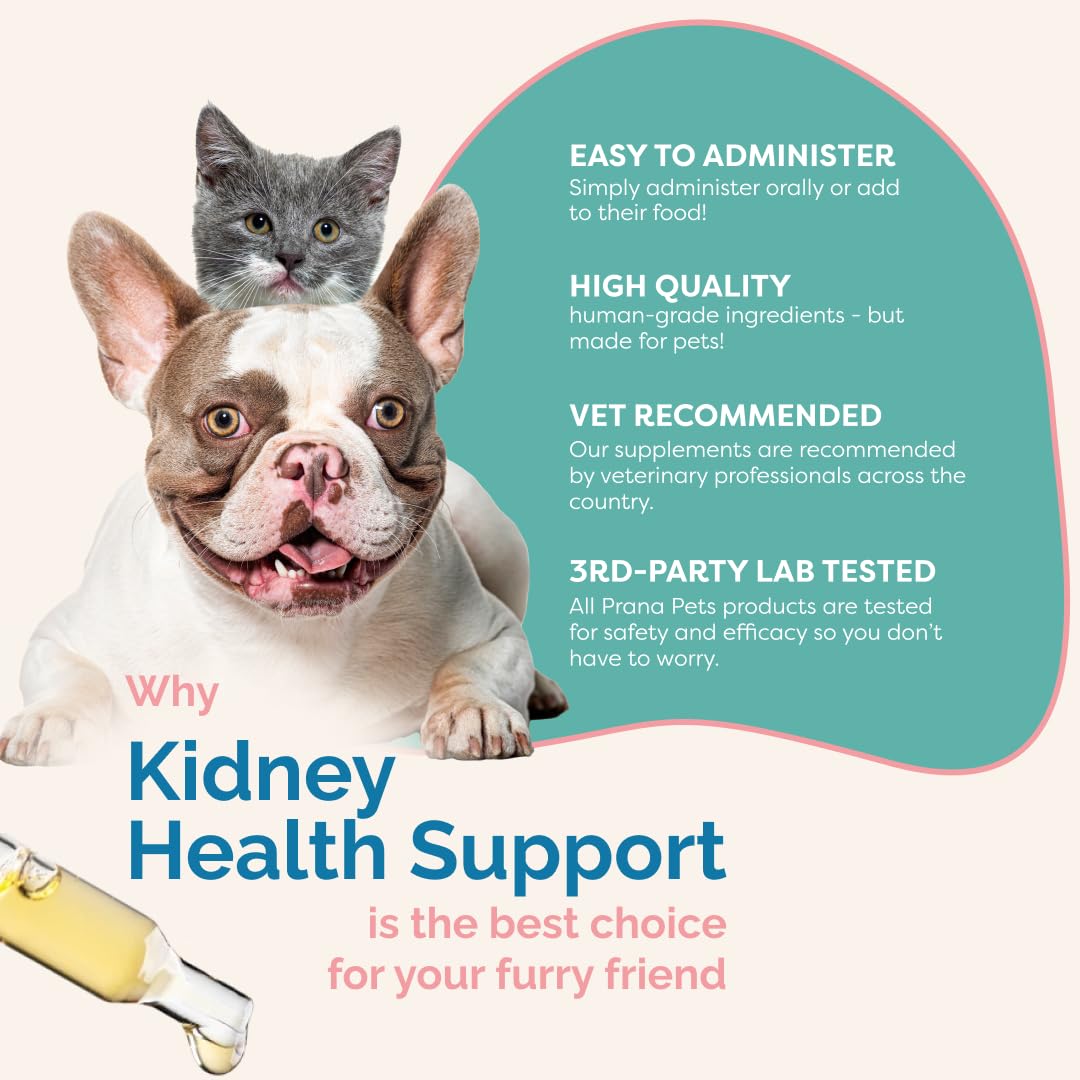 PranaPets Kidney Health Support Supplement for Cats | Naturally Supports Healthy Kidney Function in Cats | Herbal Formula Helps Inflammation & Symptoms of Kidney Issues