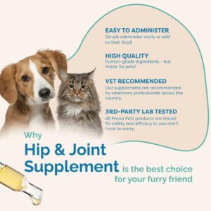 PranaPets Hip & Joint Supplement with Glucosamine for Dogs & Cats Naturally Relieves Mobility Issues | Safely Promotes Enhanced Mobility in Legs & HIPS | Helps Reduce Soreness & Back Pain