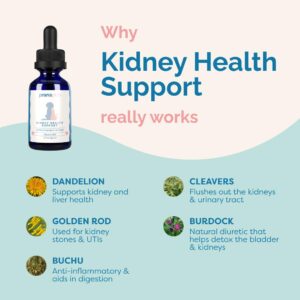 PranaPets Kidney Health Support Supplement for Cats | Naturally Supports Healthy Kidney Function in Cats | Herbal Formula Helps Inflammation & Symptoms of Kidney Issues