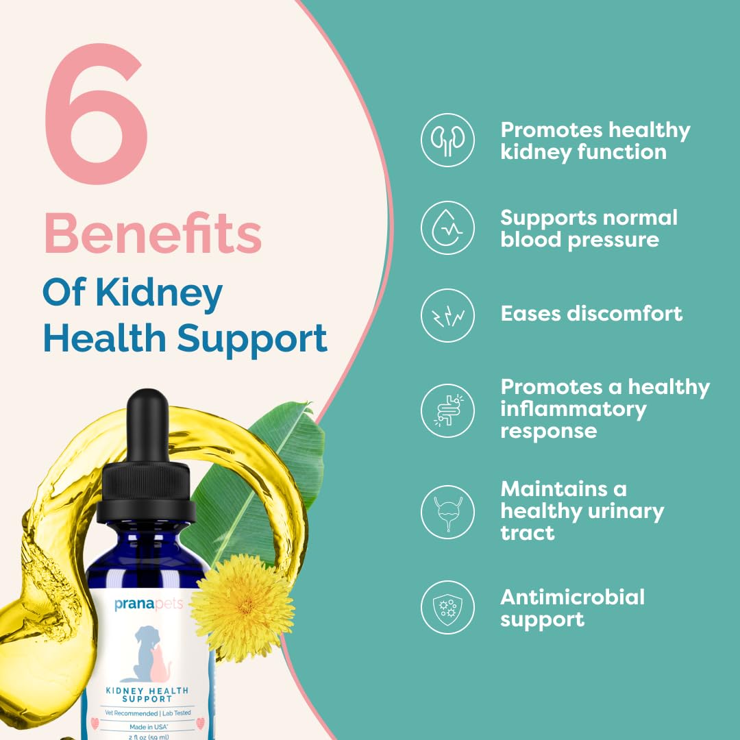 PranaPets Kidney Health Support Supplement for Cats | Naturally Supports Healthy Kidney Function in Cats | Herbal Formula Helps Inflammation & Symptoms of Kidney Issues