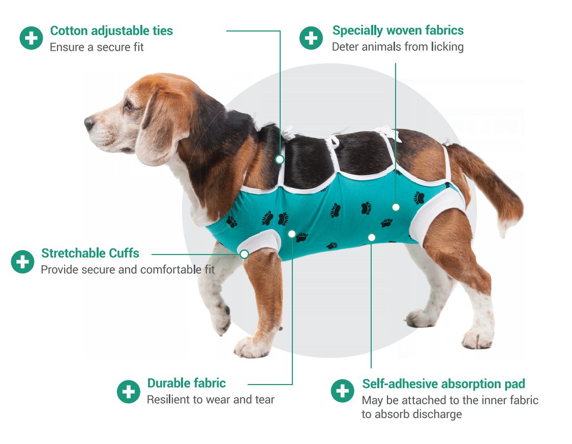 E-Collar Alternative for Cats and Dogs: After Surgey Wear. Recommended by Vets (X-Large, Bottle Green)