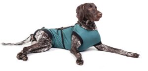 e-collar alternative for cats and dogs: after surgey wear. recommended by vets (x-large, bottle green)