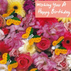 Deluxe Pop Up Birthday Greeting Card Assortment in a Bulk (12 Pack)