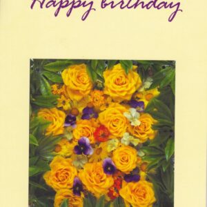 Deluxe Pop Up Birthday Greeting Card Assortment in a Bulk (12 Pack)