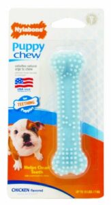 nylabone bone puppy dog chew toy, petite blue