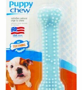 Nylabone Bone Puppy Dog Chew Toy, Petite Blue