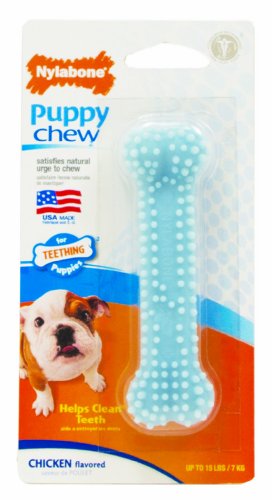 Nylabone Bone Puppy Dog Chew Toy, Petite Blue