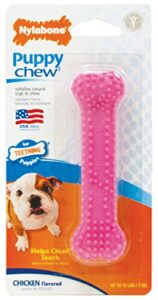 nylabone dental bone puppy dog chew toy, petite pink