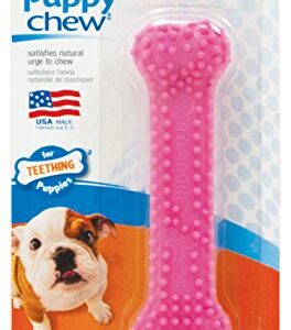 Nylabone Dental Bone Puppy Dog Chew Toy, Petite Pink